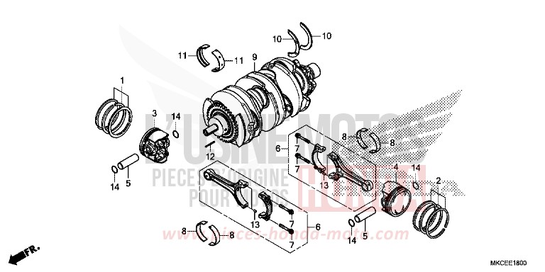 CRANKSHAFT/PISTON for Gold Wing CANDY ARDENT RED (R367B) from 2019